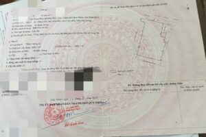 z6782228447433 f036472d0bd08a0d5d4643fe7fc717b1